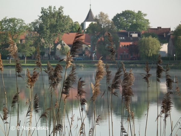Miedzychód
